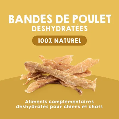 Lot 3 x 100g Poulet Séché - Friandises Chien 100% Naturelles Lot 3 x 100g Poulet Séché - Friandises Chien 100% Naturelles