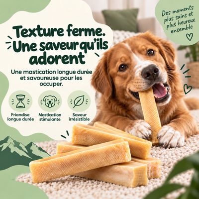 MAIKAI 6 Bâtonnets a Macher au Fromage de l´Himalaya pour Chien