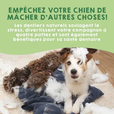 MAIKAI 6 Bâtonnets a Macher au Fromage de l´Himalaya pour Chien