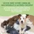 MAIKAI 6 Bâtonnets a Macher au Fromage de l´Himalaya pour Chien MAIKAI 6 Bâtonnets a Macher au Fromage de l´Himalaya pour Chien