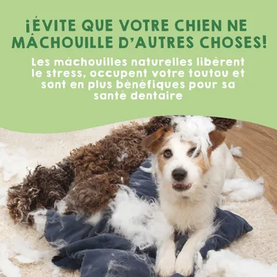 MAIKAI 6 Bâtonnets a Macher au Fromage de l´Himalaya pour Chien MAIKAI 6 Bâtonnets a Macher au Fromage de l´Himalaya pour Chien