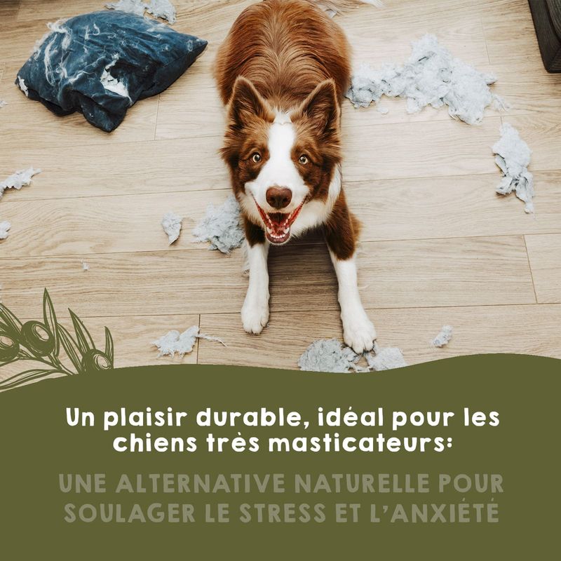 MAIKAI Bois Olivier Chien 100% Naturel - Bâton Mastication Chien