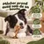 MAIKAI Bois Olivier Chien 100% Naturel - Bâton Mastication Chien MAIKAI Bois Olivier Chien 100% Naturel - Bâton Mastication Chien