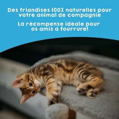 MAIKAI Pack 3x125g. Bouchées croustillantes de poisson. 100% naturel