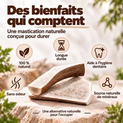 MAIKAI Bois de Cerf Tranché pour Chien 100% naturel - Os à Mâcher