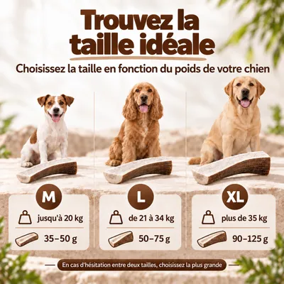 MAIKAI Bois de Cerf Tranché pour Chien 100% naturel - Os à Mâcher MAIKAI Bois de Cerf Tranché pour Chien 100% naturel - Os à Mâcher
