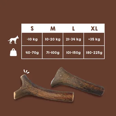 Bois de Cerf pour Chien 100% Naturel - Os à Mâcher - Jouet Résistant