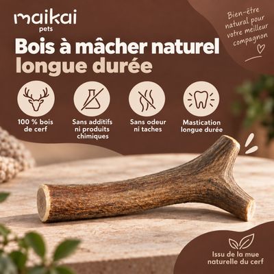 Bois de Cerf pour Chien 100% Naturel - Os à Mâcher - Jouet Résistant