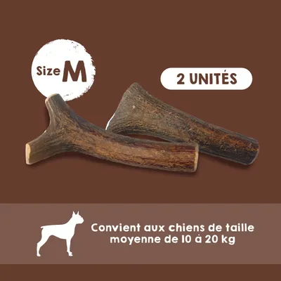 Bois de Cerf pour Chien 100% Naturel - Os à Mâcher - Jouet Résistant