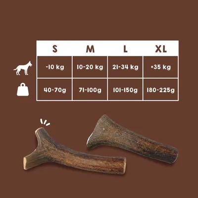 Bois de Cerf pour Chien 100% Naturel - Os à Mâcher - Jouet Résistant