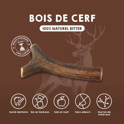 Bois de Cerf pour Chien 100% Naturel - Os à Mâcher - Jouet Résistant