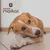 Bois de Cerf pour Chien 100% Naturel - Os à Mâcher - Jouet Résistant