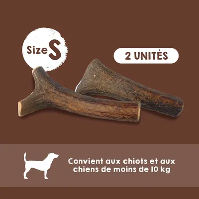 Bois de Cerf pour Chien 100% Naturel - Os à Mâcher - Jouet Résistant