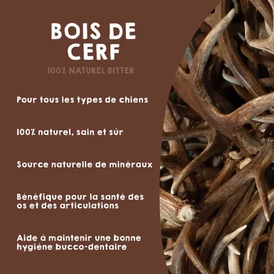 Bois de Cerf pour Chien 100% Naturel - Os à Mâcher - Jouet Résistant
