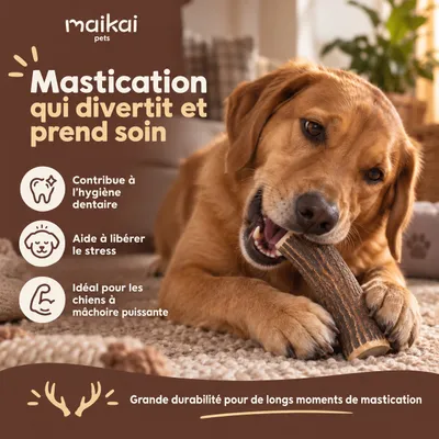 Bois de Cerf pour Chien 100% Naturel - Os à Mâcher - Jouet Résistant Bois de Cerf pour Chien 100% Naturel - Os à Mâcher - Jouet Résistant