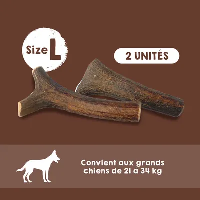 MAIKAI Bois de Cerf pour Chien 100% Naturel - Os à Mâcher - Jouet Résistan