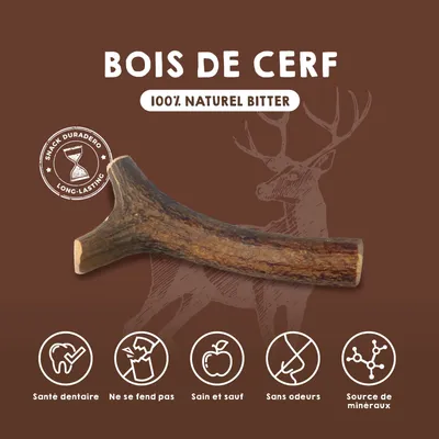 MAIKAI Bois de Cerf pour Chien 100% Naturel - Os à Mâcher - Jouet Résistan