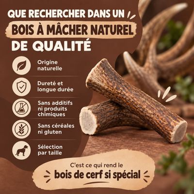 MAIKAI Bois de Cerf pour Chien 100% Naturel - Os à Mâcher - Jouet Résistan