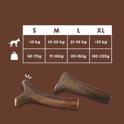 MAIKAI Bois de Cerf pour Chien 100% Naturel - Os à Mâcher - Jouet Résistan