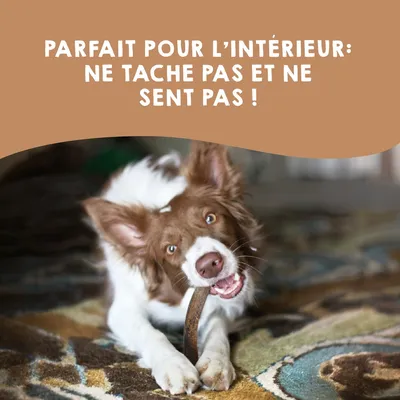MAIKAI Bois de Cerf Tranché pour Chien 100% naturel - Os à Mâcher