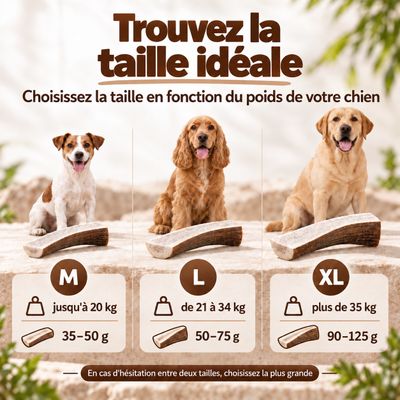 MAIKAI Bois de Cerf Tranché pour Chien 100% naturel - Os à Mâcher