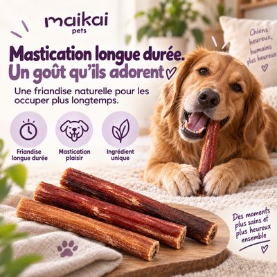 MAIKAI Nerfs de Bœuf Séché pour Chien - Friandises à Mâcher 100% Naturels