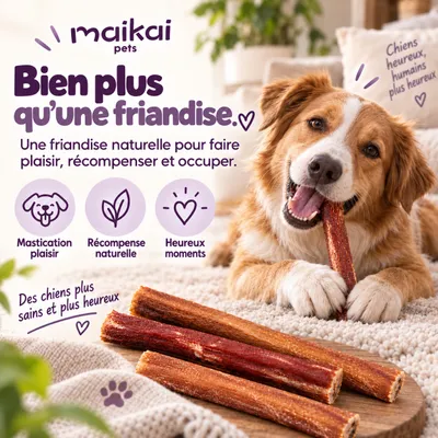 MAIKAI Nerfs de Bœuf Séché pour Chien  (Lot 2x4 units) - 100% Naturels