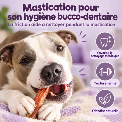 MAIKAI Nerfs de Bœuf Séché pour Chien  (Lot 2x4 units) - 100% Naturels