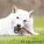 MAIKAI Nerfs de Bœuf Séché pour Chien (Lot 2x4 units) - 100% Naturels MAIKAI Nerfs de Bœuf Séché pour Chien (Lot 2x4 units) - 100% Naturels