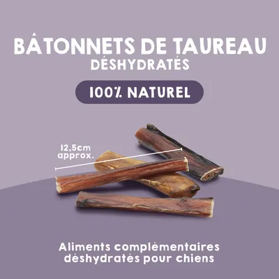 MAIKAI Nerfs de Bœuf Séché pour Chien  (Lot 2x4 units) - 100% Naturels
