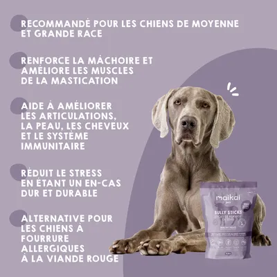 MAIKAI Nerfs de Bœuf Séché pour Chien  (Lot 2x4 units) - 100% Naturels