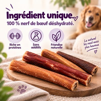 MAIKAI Nerfs de Bœuf Séché pour Chien  (Lot 2x4 units) - 100% Naturels