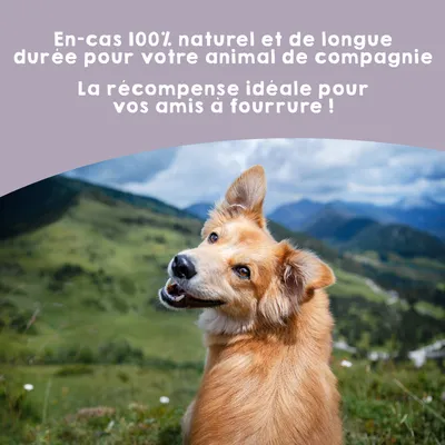 MAIKAI Nerfs de Bœuf Séché pour Chien  (Lot 2x4 units) - 100% Naturels