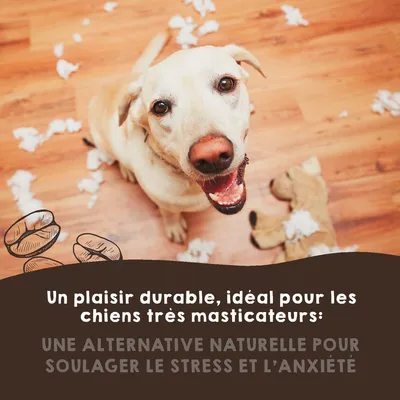MAIKAI Bâton à Mâcher en Bois de Café - Jouet Naturel pour Chien