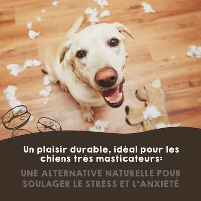 MAIKAI Bâton à Mâcher en Bois de Café - Jouet Naturel pour Chien