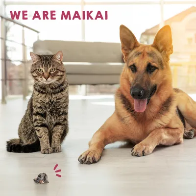 MAIKAI Lot 3 Foies de Boeuf Séchés - Friandises pour Chiens 100% Naturels