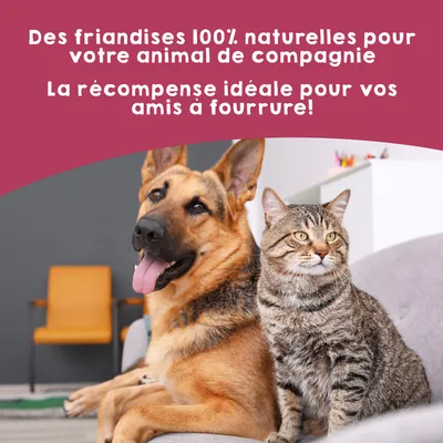 MAIKAI Lot 3 Foies de Boeuf Séchés - Friandises pour Chiens 100% Naturels