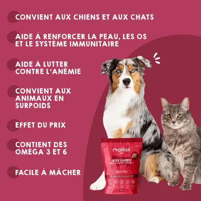 MAIKAI Lot 3 Foies de Boeuf Séchés - Friandises pour Chiens 100% Naturels MAIKAI Lot 3 Foies de Boeuf Séchés - Friandises pour Chiens 100% Naturels