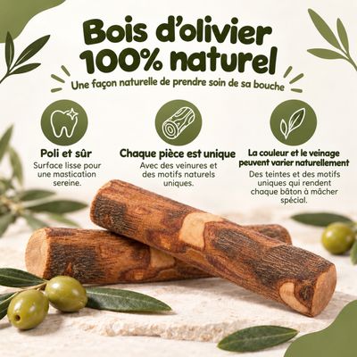 MAIKAI Bois Olivier Chien 100% Naturel - Bâton Mastication Chien