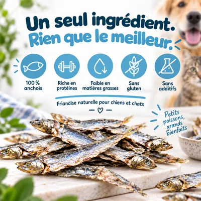 MAIKAI Lot 3 Poissons Séchés - Friandises Naturelles pour Chiens et Chats. MAIKAI Lot 3 Poissons Séchés - Friandises Naturelles pour Chiens et Chats.