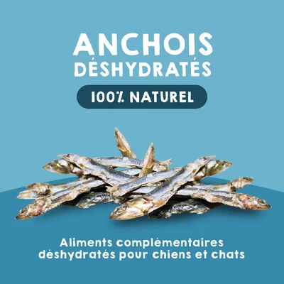 MAIKAI Lot 3 Poissons Séchés - Friandises Naturelles pour Chiens et Chats.
