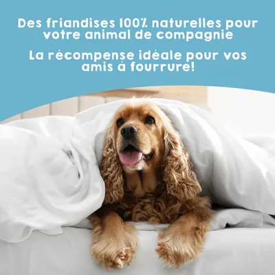 MAIKAI Lot 3 Poissons Séchés - Friandises Naturelles pour Chiens et Chats.