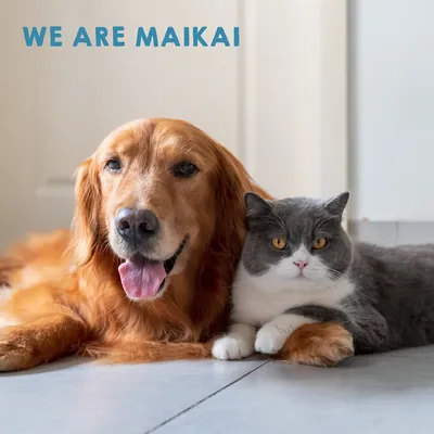 MAIKAI Lot 3 Poissons Séchés - Friandises Naturelles pour Chiens et Chats.