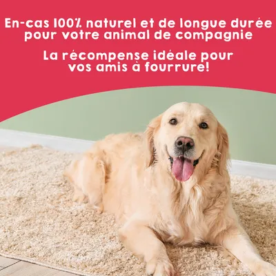 MAIKAI Tendons de Boeuf pour Chiens - Friandise Naturel