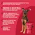 MAIKAI Tendons de Boeuf pour Chiens - Friandise Naturel MAIKAI Tendons de Boeuf pour Chiens - Friandise Naturel