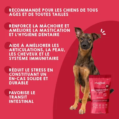 MAIKAI Tendons de Boeuf pour Chiens - Friandise Naturel MAIKAI Tendons de Boeuf pour Chiens - Friandise Naturel