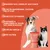 MAIKAI Bâtonnets en Peau de Saumon pour Chiens et Chats - 100% Naturels