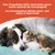 MAIKAI Bâtonnets en Peau de Saumon pour Chiens et Chats - 100% Naturels