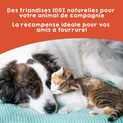 MAIKAI Bâtonnets en Peau de Saumon pour Chiens et Chats - 100% Naturels