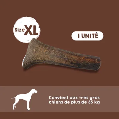 MAIKAI Bois de Cerf pour Chien 100% Naturel - Os à Mâcher - Jouet Résistant